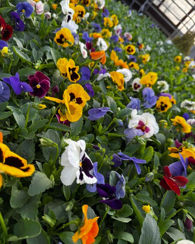Keep The Soil Moist Without Leaving It Soggy Keep The Soil Moist Without Leaving It Soggy