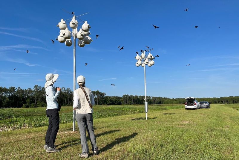 Keep Their Flight Paths Clear And Easy Keep Their Flight Paths Clear And Easy