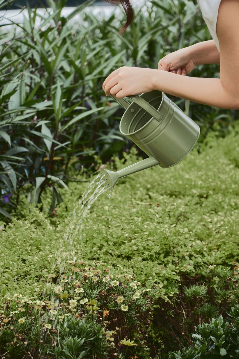Keep Watering Consistent Without Keeping The Garden Constantly Wet Keep Watering Consistent Without Keeping The Garden Constantly Wet