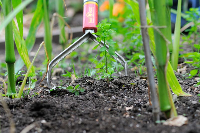 Keep Weeds And Garden Debris Under Control