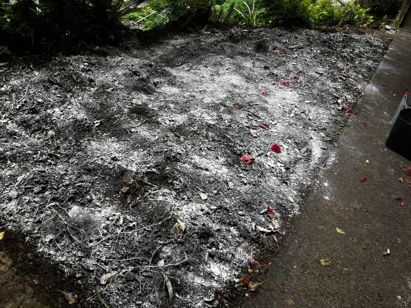 Keeping Clay Soil Protected Season After Season