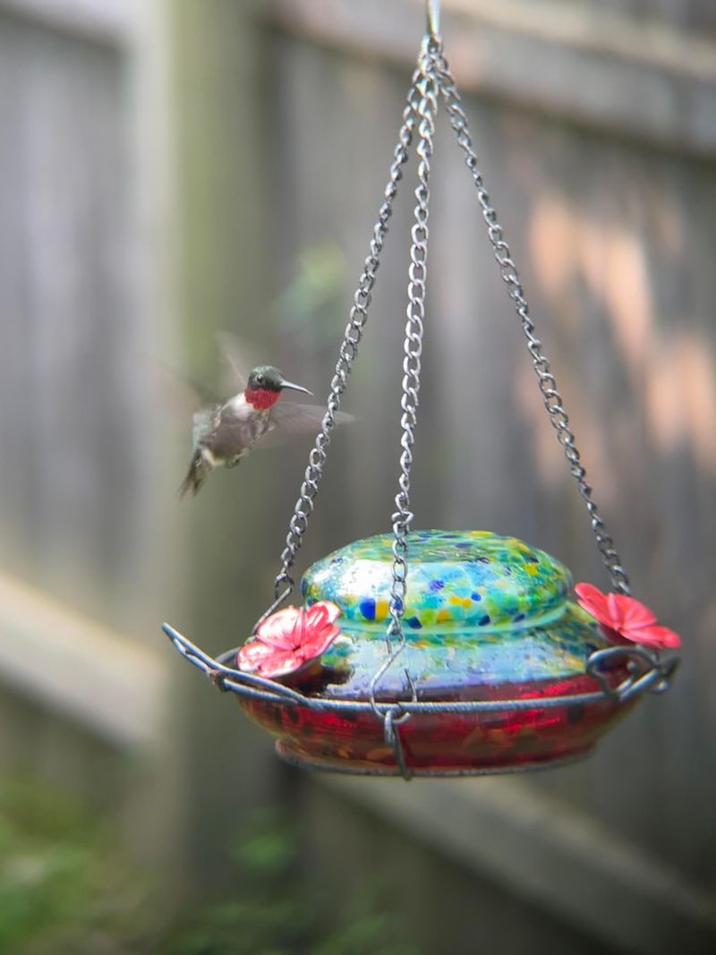 Keeping Feeders Clean Matters More During Busy Periods Keeping Feeders Clean Matters More During Busy Periods