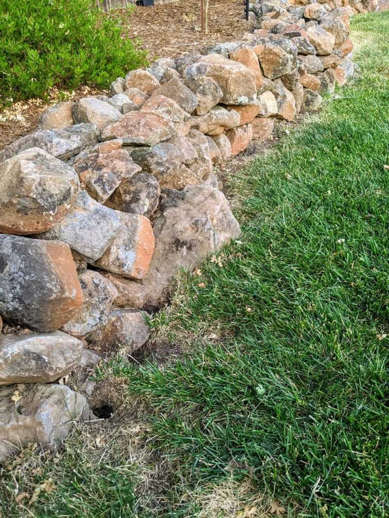 Keeping Mulch Away From Walls Removes Easy Shelter Keeping Mulch Away From Walls Removes Easy Shelter