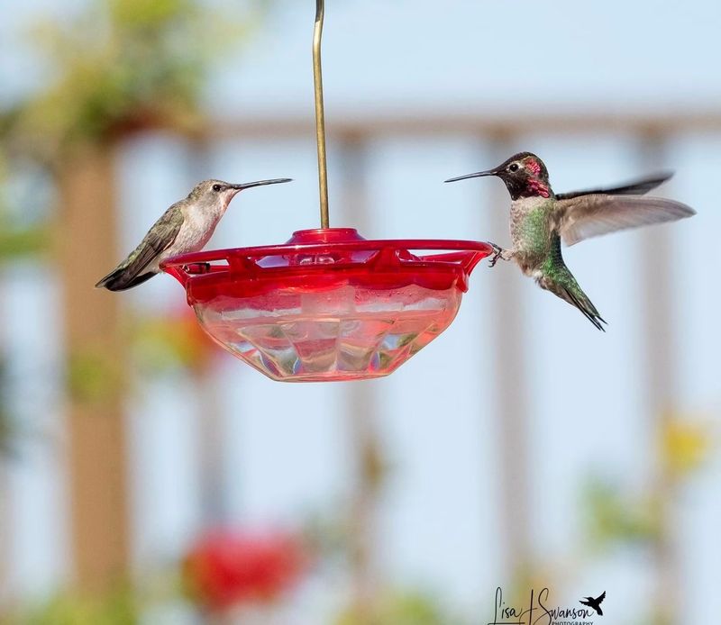 Keeping Nectar Fresh During This High Traffic Period