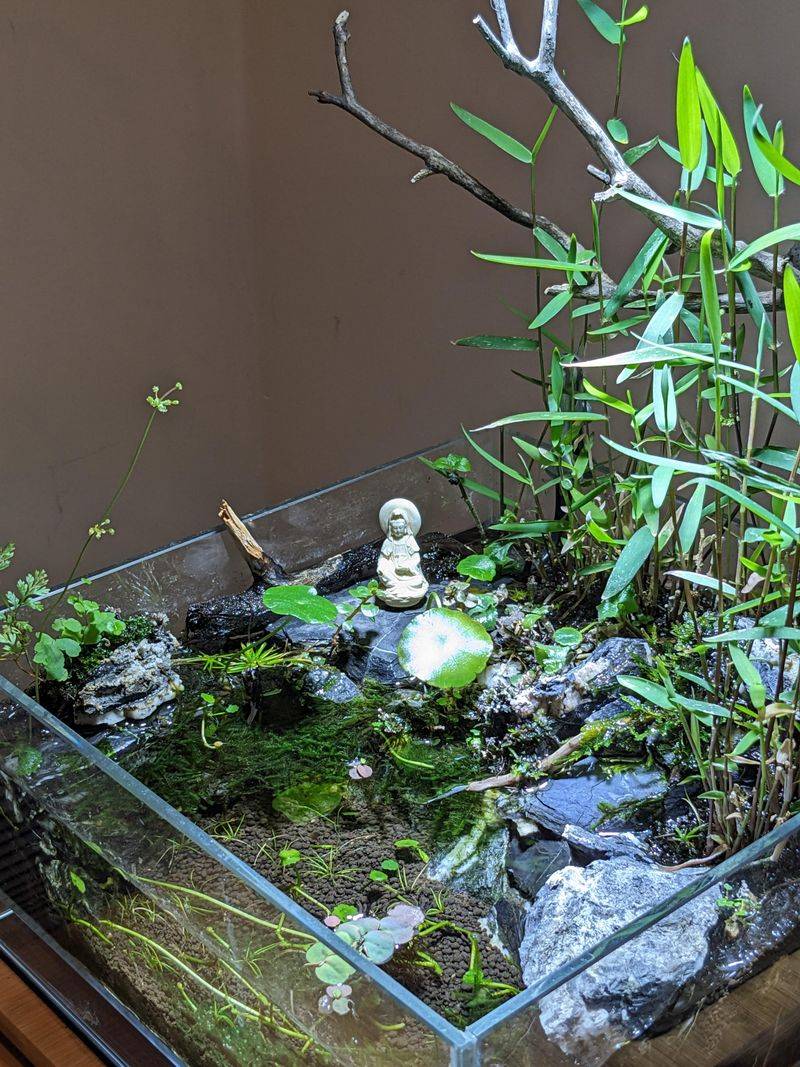 Keeping Water Fresh Without Complicated Maintenance