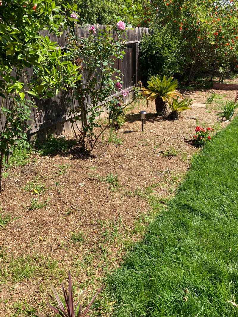 Keeping Weeds From Stealing Precious Moisture Keeping Weeds From Stealing Precious Moisture