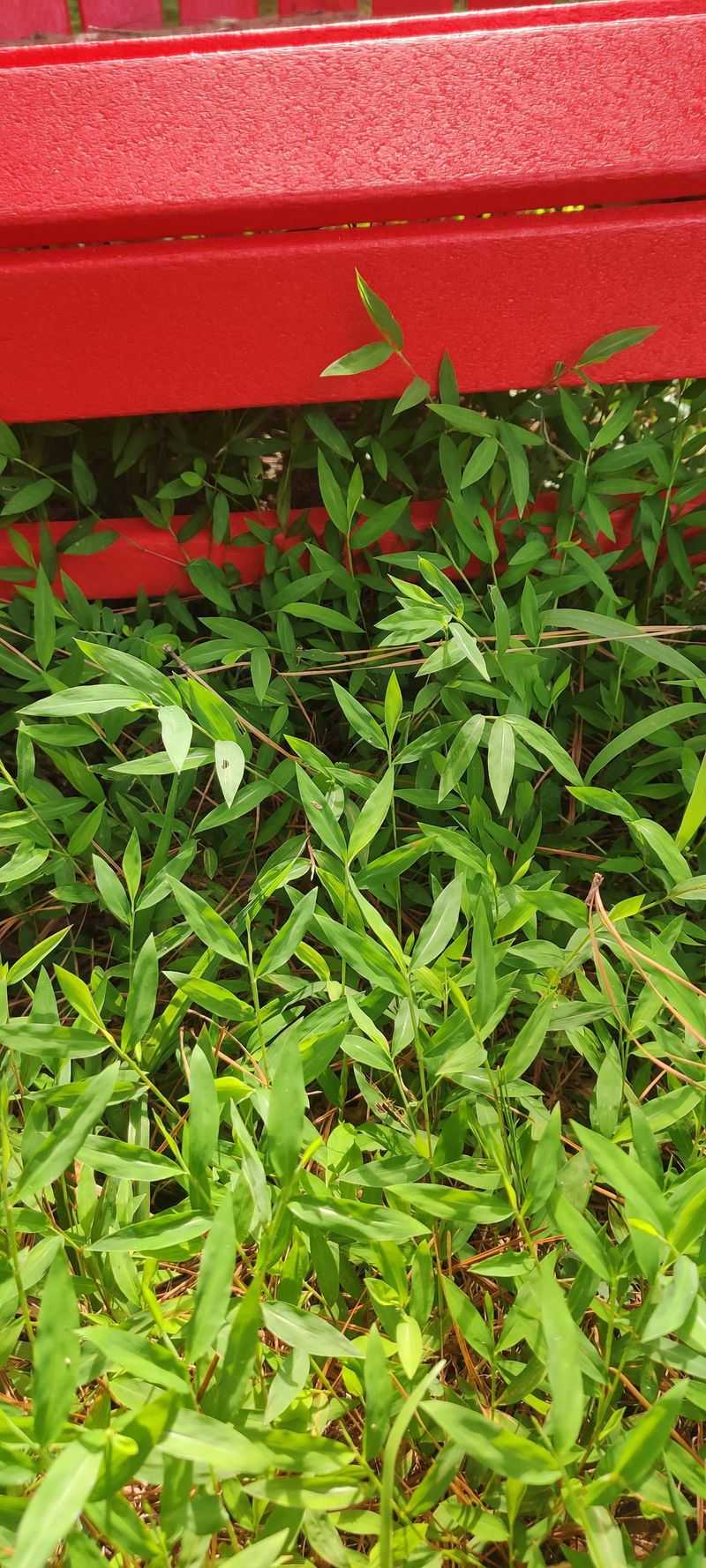 Key Signs That Help You Spot It Early