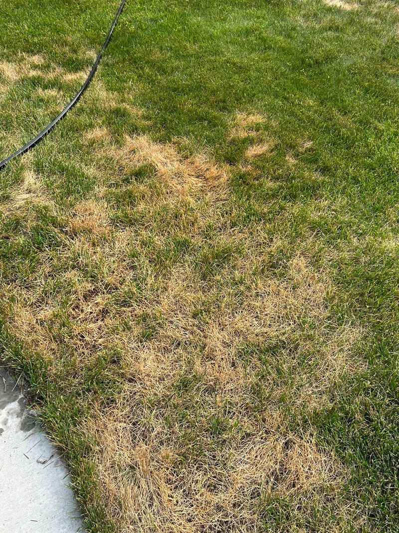 Know When Local Maintenance Rules Still Apply Know When Local Maintenance Rules Still Apply