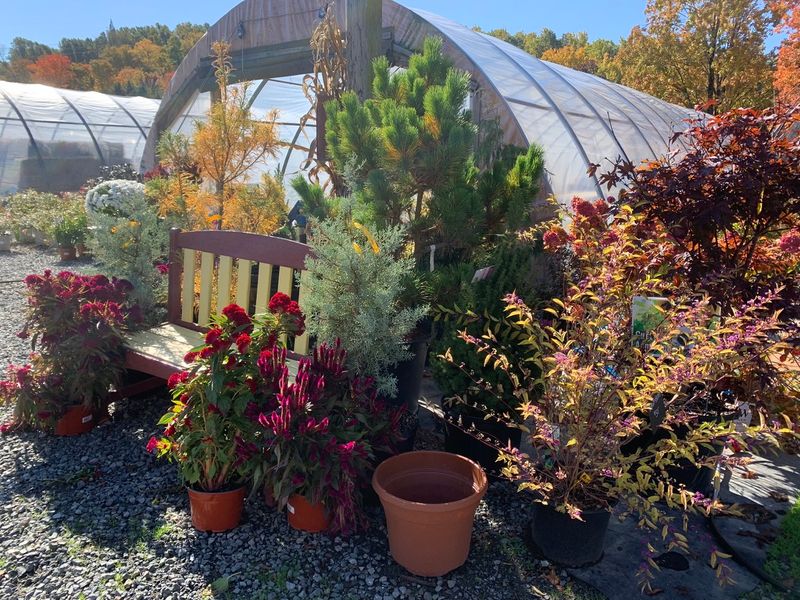 Kospia Farms - Alburtis Kospia Farms - Alburtis