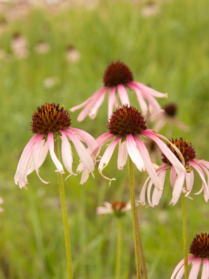 Label Seeds Before Storing Them