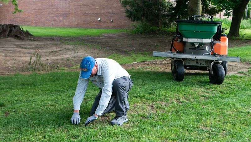 Late August Is A Prime Time To Repair Bare Ohio Lawns Late August Is A Prime Time To Repair Bare Ohio Lawns