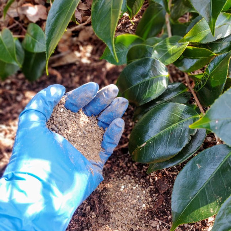 Late Fertilizer Can Delay Stem Hardening Late Fertilizer Can Delay Stem Hardening