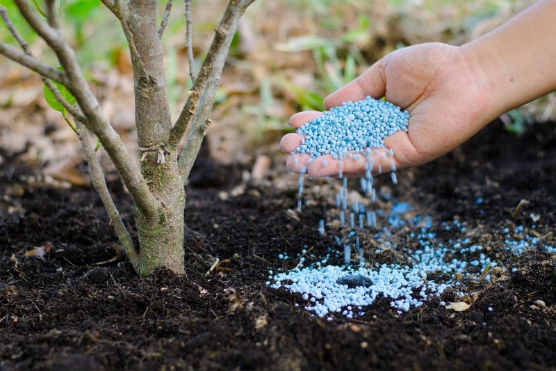 Late Nitrogen Pushes Tender New Growth