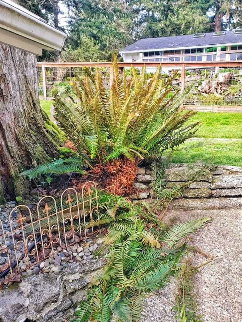 Late-Summer Cleanup Should Stay Light Late-Summer Cleanup Should Stay Light