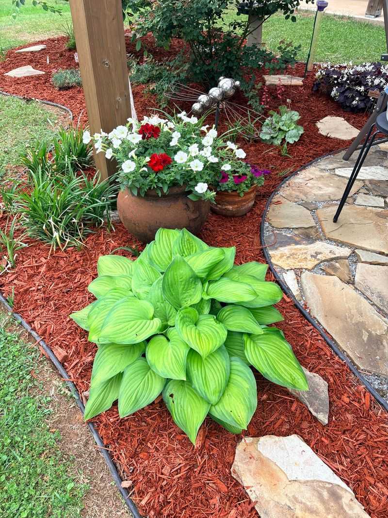 Late-Summer Mulch Hiding Drainage Problems Late-Summer Mulch Hiding Drainage Problems