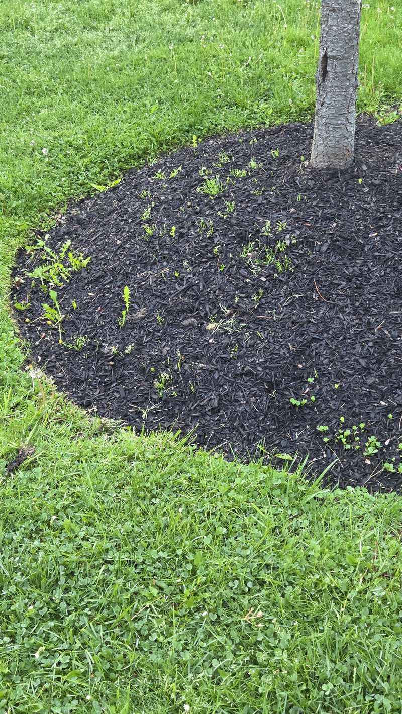 Late Summer Timing Makes This Oversight Especially Costly Late Summer Timing Makes This Oversight Especially Costly