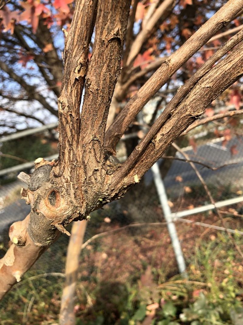 Late Winter Is A Better Time For The Big Cleanup