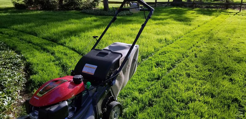 Lawns Are The Big Fall Exception