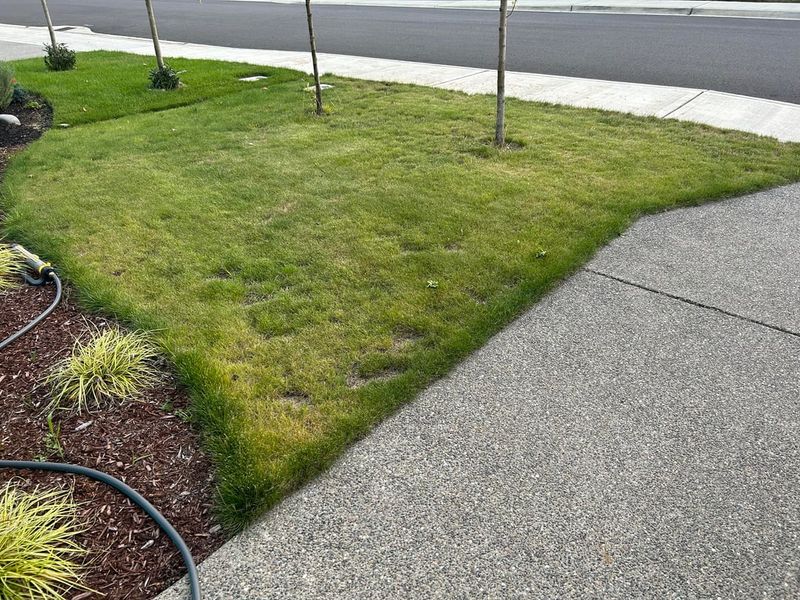 Lawns May Need Fewer Watering Days