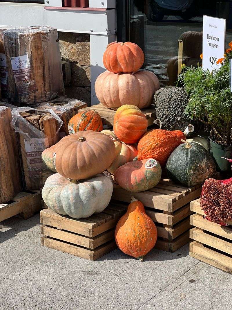 Layered Displays And Oversized Statement Pumpkins