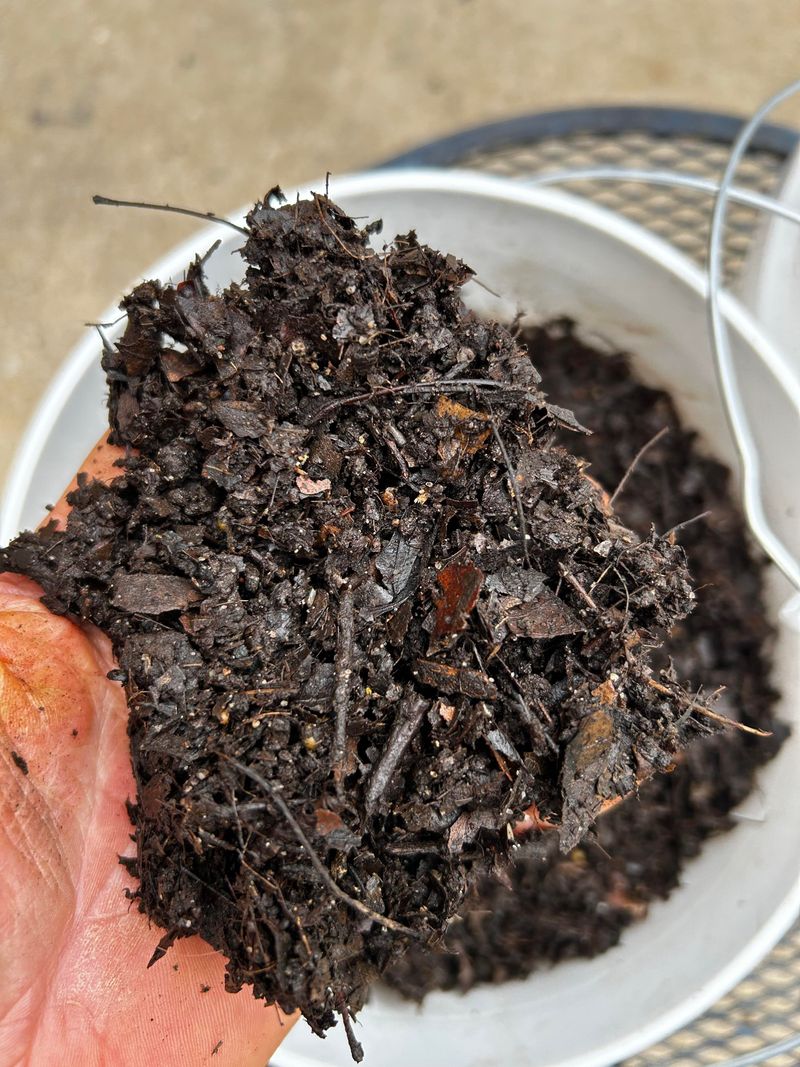 Leaf Mold Builds Rich Organic Matter Over Time Leaf Mold Builds Rich Organic Matter Over Time