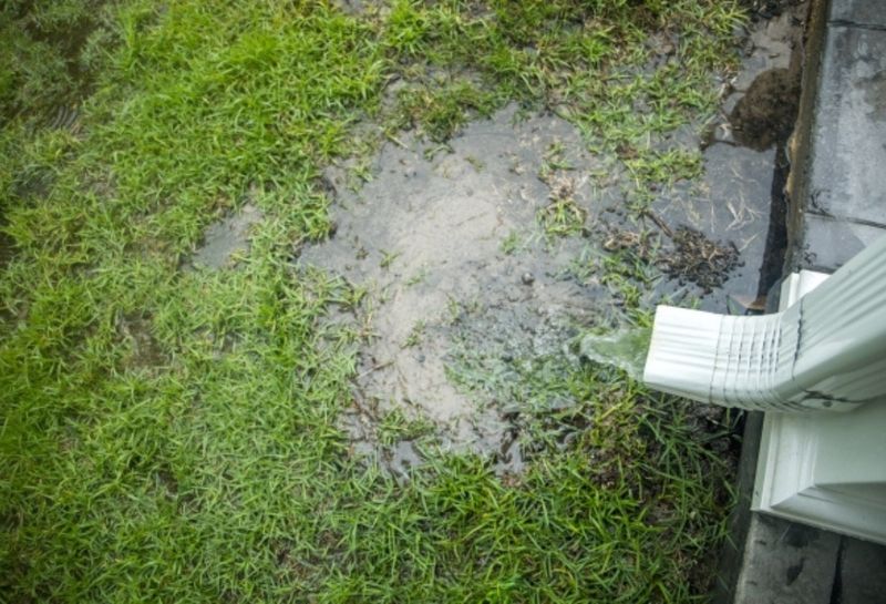 Leaky Hoses And Overwatering Leave Water Behind