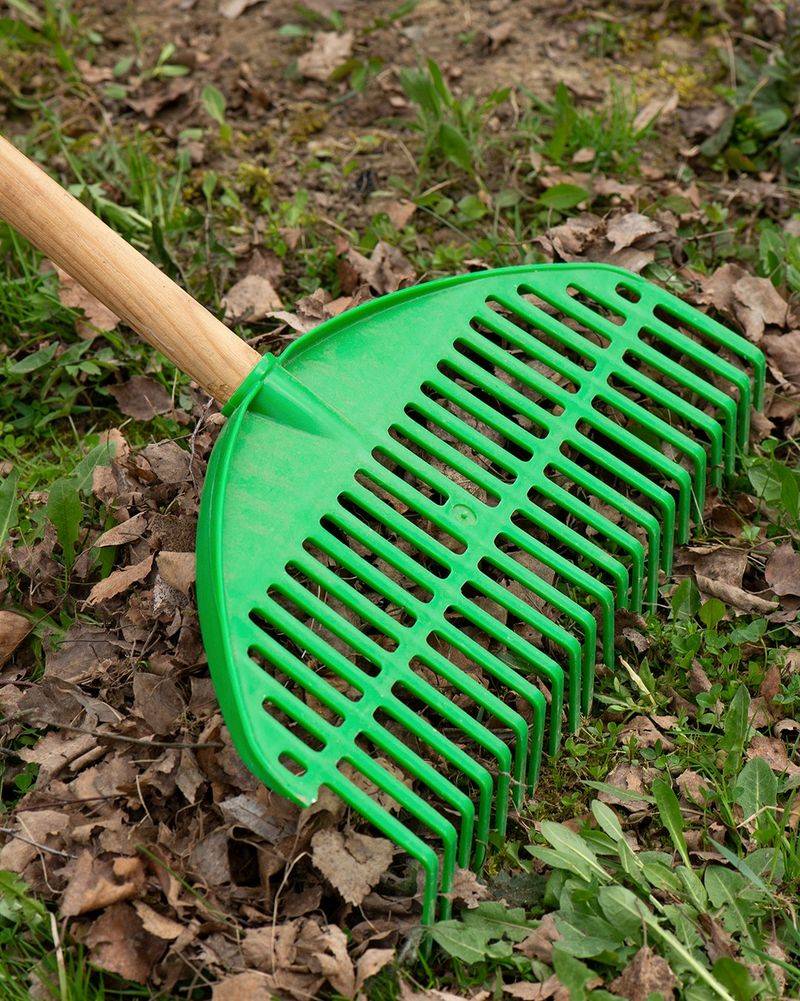 Leave Some Leaves Behind