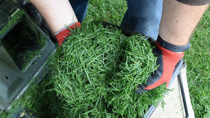 Leave The Final Clippings On The Lawn As Mulch