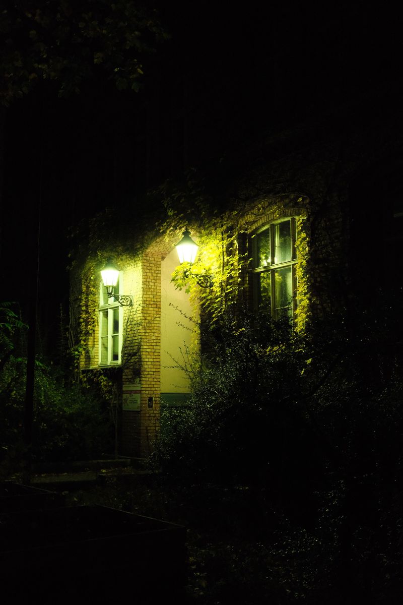 Leaving Lights On All Night Draws Them In
