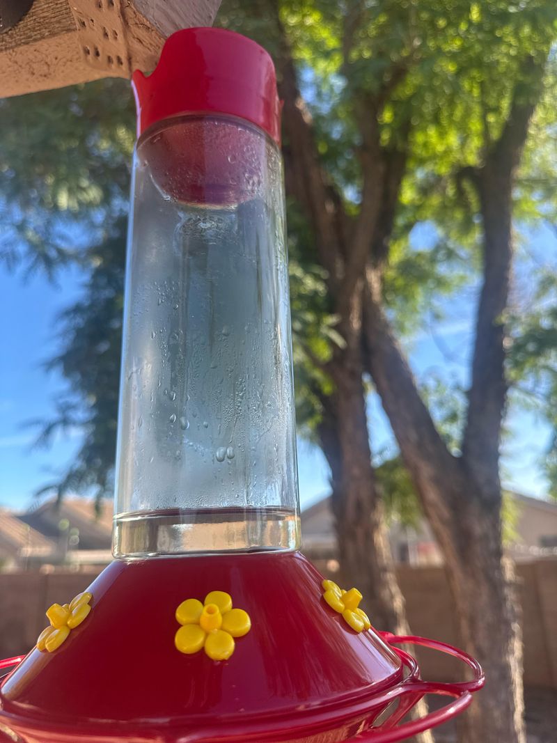 Leaving Nectar Out Too Long In The Heat