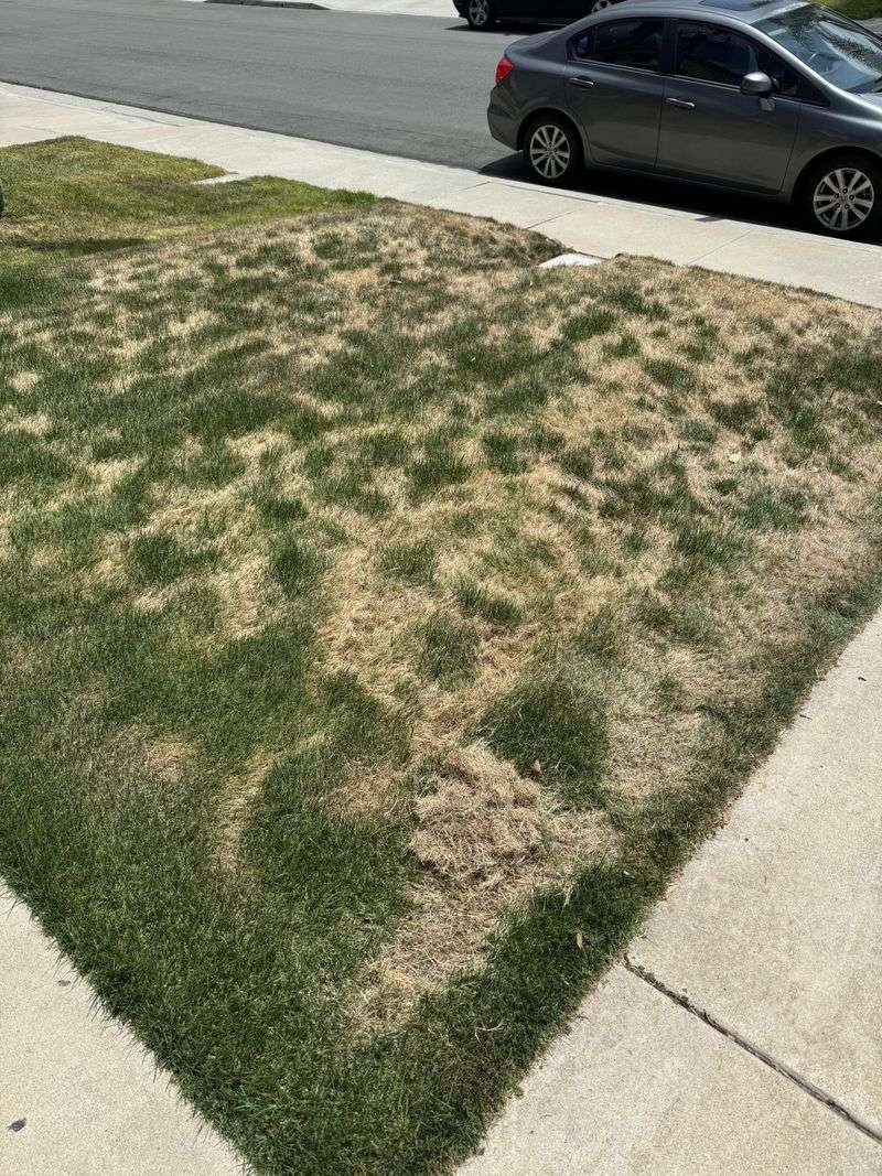 Left Untreated The Damage Keeps Spreading Left Untreated The Damage Keeps Spreading