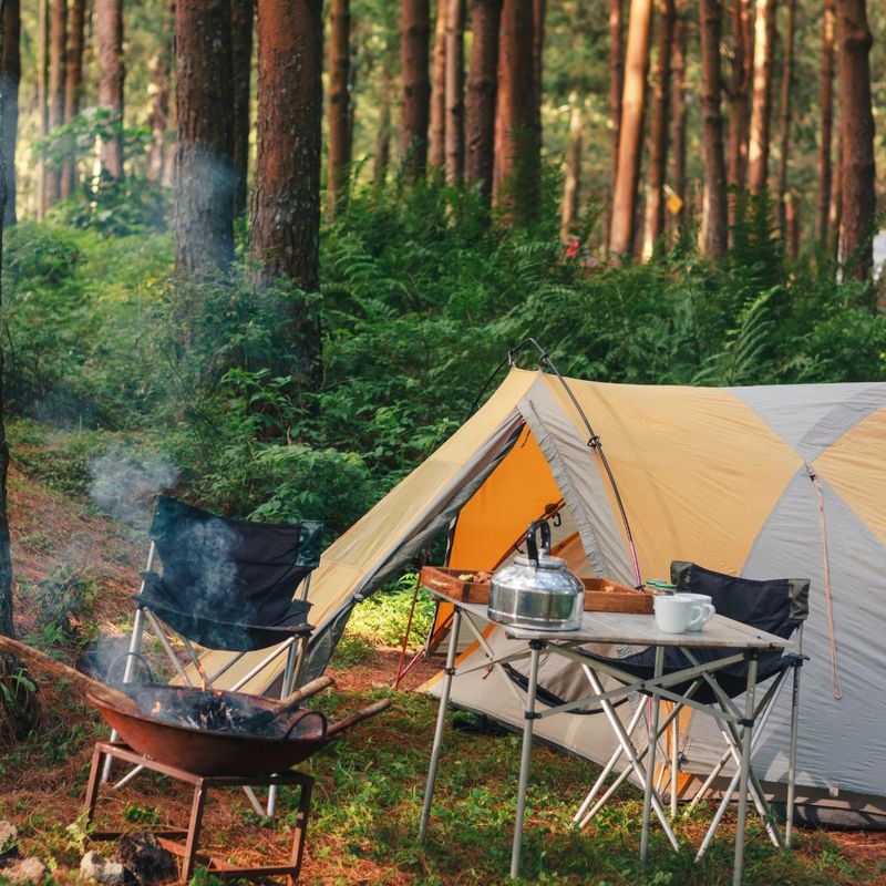 Leftover Firewood Should Stay Near The Campsite Leftover Firewood Should Stay Near The Campsite