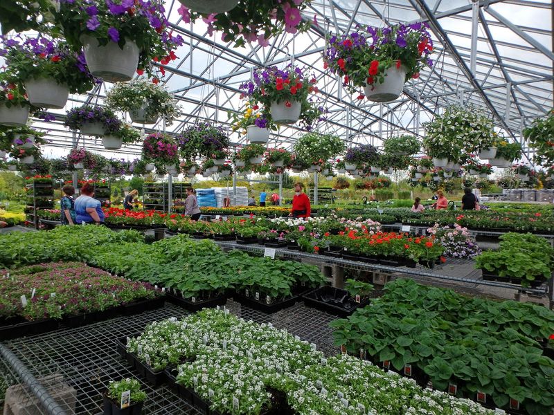 Lehigh Valley Home And Garden Center - Allentown Lehigh Valley Home And Garden Center - Allentown