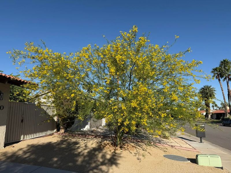 Less Cleanup Makes Yard Care Easier