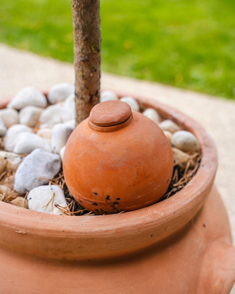 Less Frequent Watering Saves Time During Dry Spells Less Frequent Watering Saves Time During Dry Spells