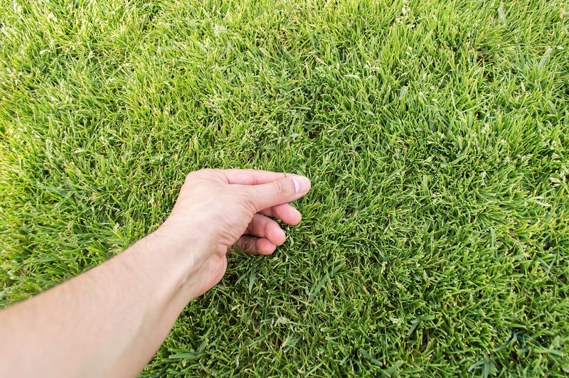 Let A Soil Test Guide Other Nutrients