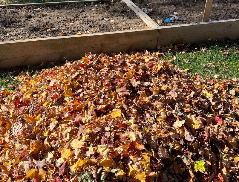 Let Leaves Break Down Where They Help