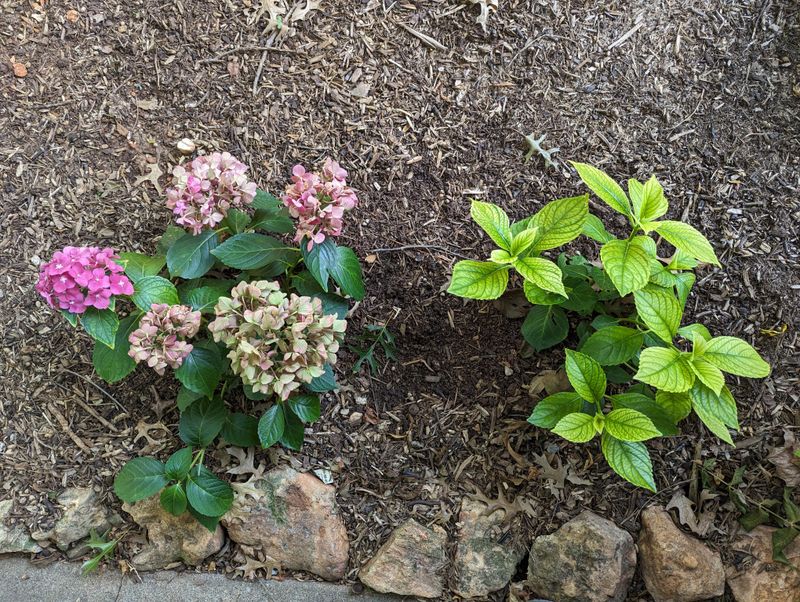 Let Soil Drain Before Watering Again