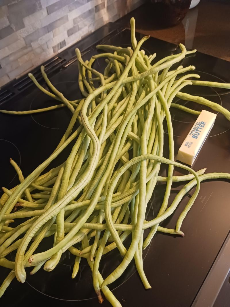 Let Yardlong Beans Climb The Fence