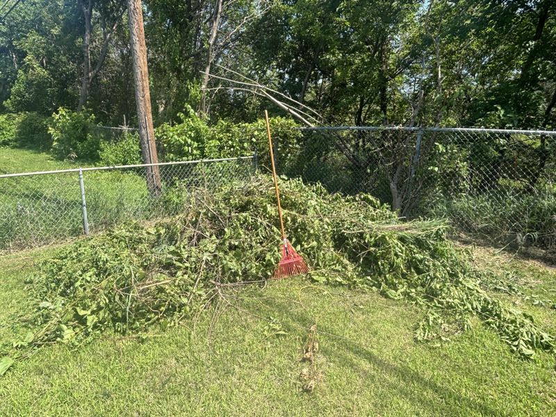 Letting Dry Yard Debris Build Up Against The House