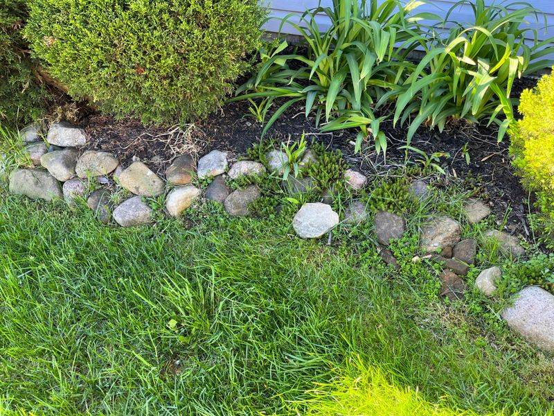 Letting Lawn Runners Cross Over After Mowing Letting Lawn Runners Cross Over After Mowing