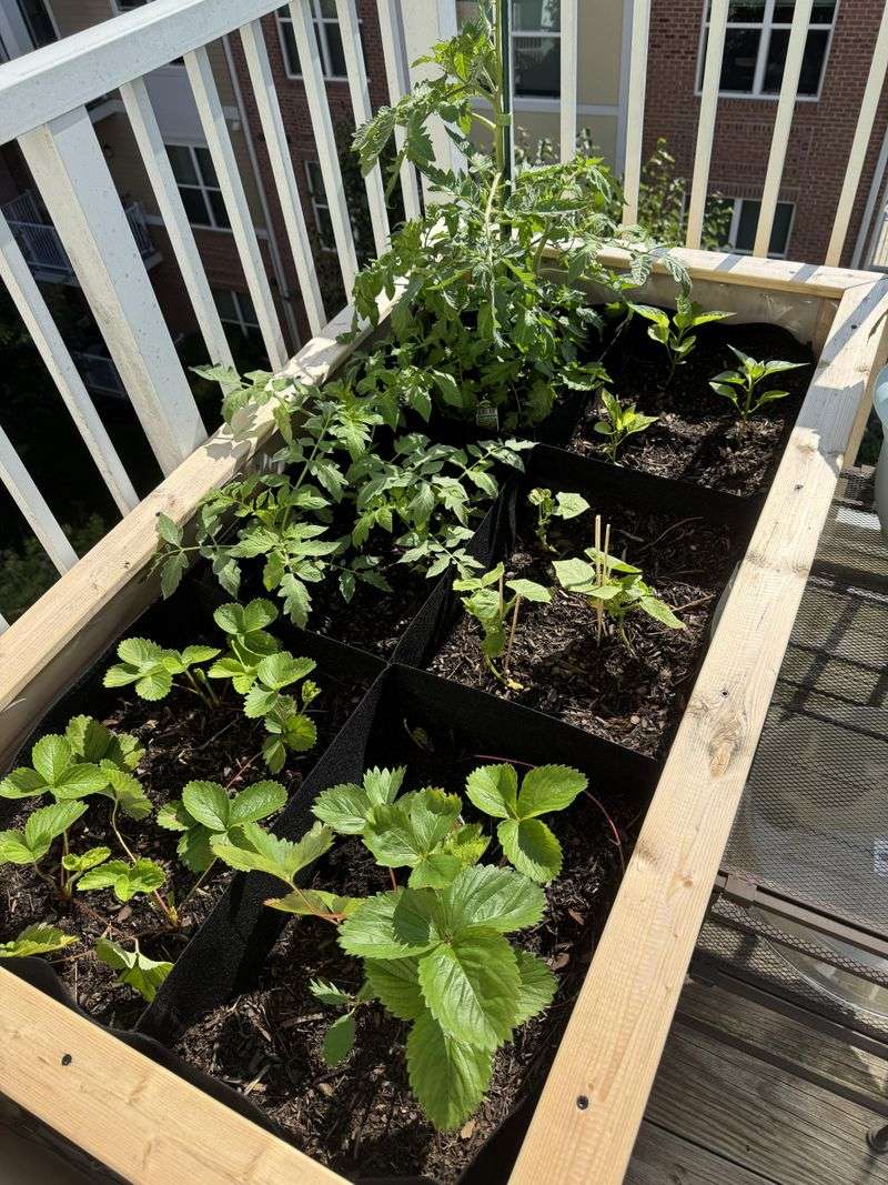Letting New Seed Beds Dry Out