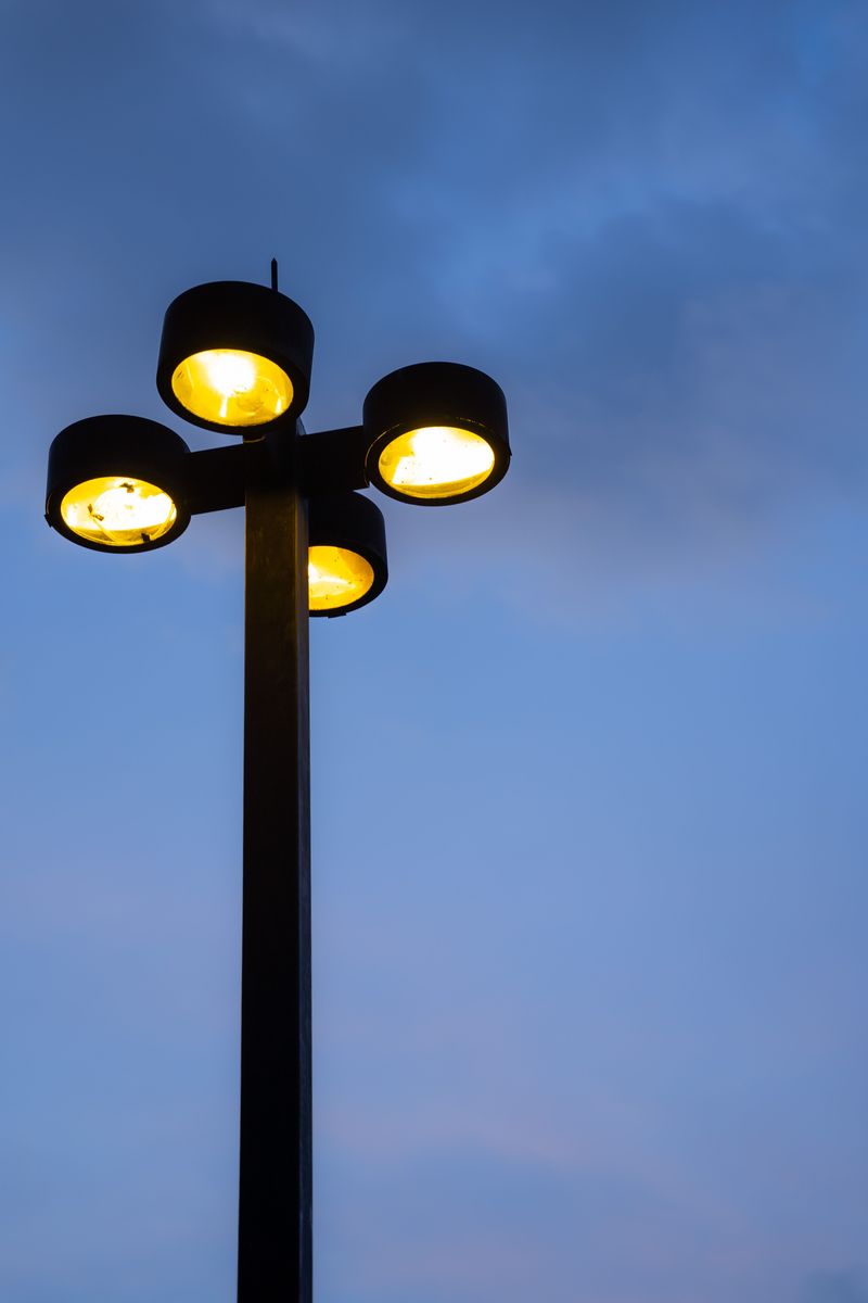 Light Pollution's Hidden Impact On Firefly Mating Light Pollution's Hidden Impact On Firefly Mating
