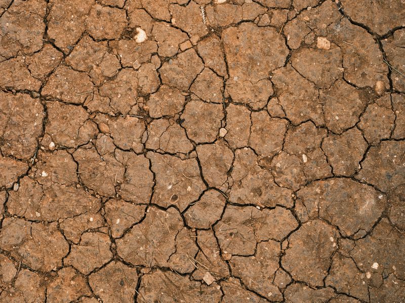 Limestone Bedrock Traps Heat And Dries Surface Soil Limestone Bedrock Traps Heat And Dries Surface Soil
