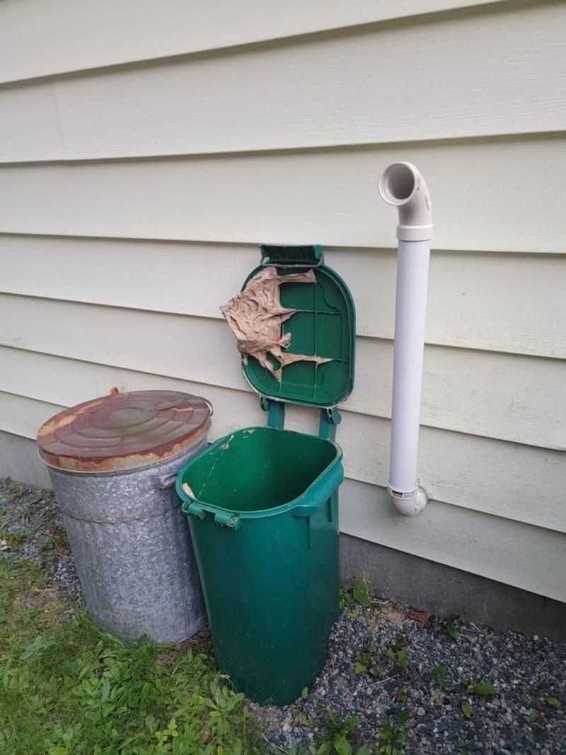 Lit Entryways Near Bins Draw Scouts Closer Lit Entryways Near Bins Draw Scouts Closer