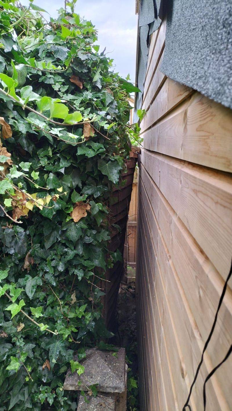 Local Officials May Want The Plant Removed