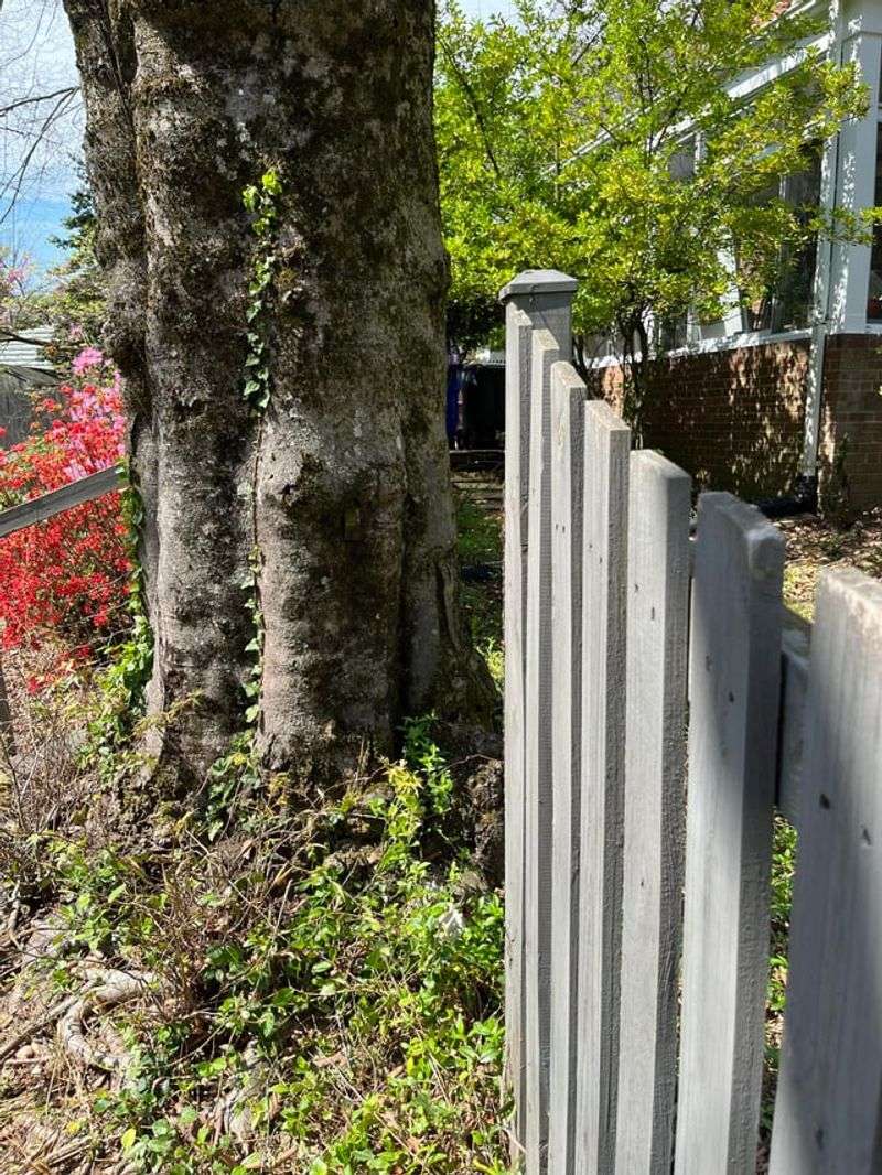 Local Ordinances Can Still Restrict Where You Plant Local Ordinances Can Still Restrict Where You Plant