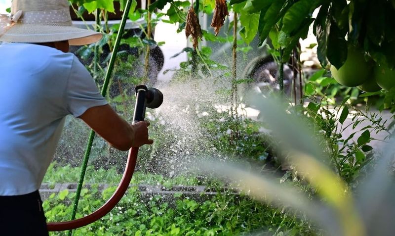 Local Water Rules Can Affect What You Plant