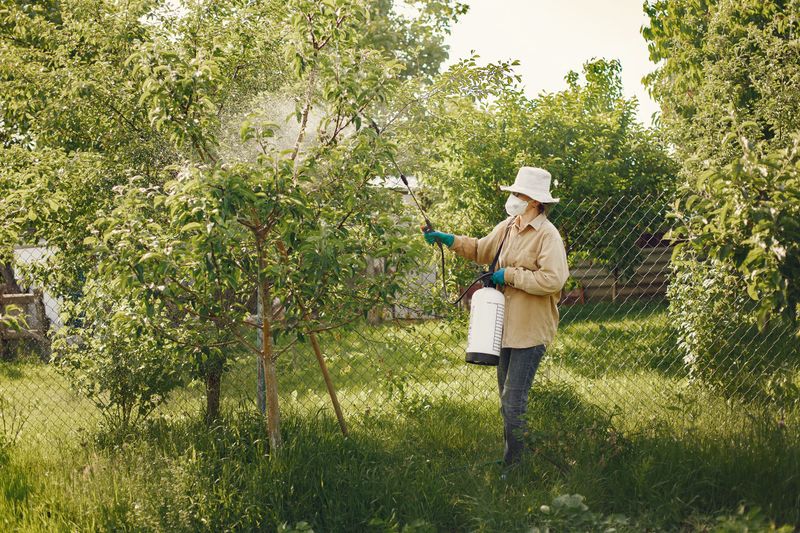 Long-Term Prevention Strategies For Future Seasons