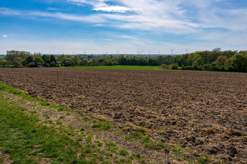 Look For Flat, Cleared Soil Look For Flat, Cleared Soil